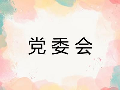 党委会 党委会