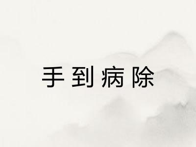 手到病除 手到病除