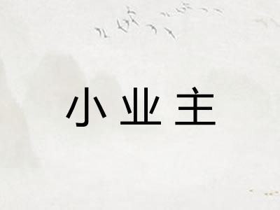 小业主 小业主