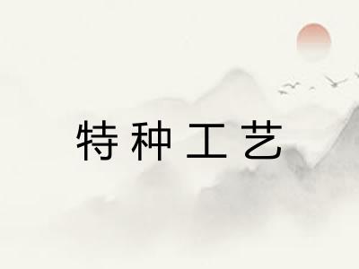 特种工艺