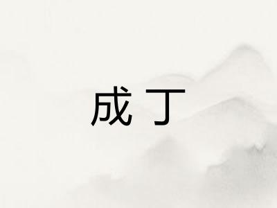 成丁 成丁