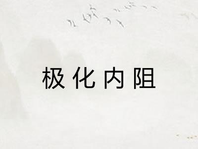 极化内阻 极化内阻