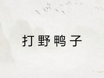 打野鸭子 打野鸭子