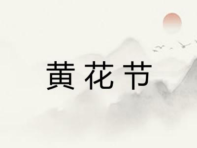 黄花节