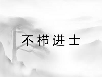 不栉进士 不栉进士