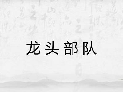龙头部队 龙头部队