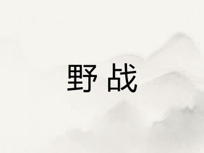 野战 野战