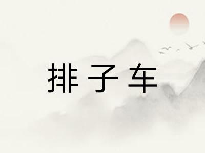 排子车 排子车