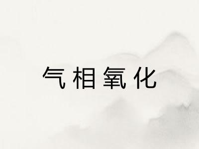 气相氧化 气相氧化