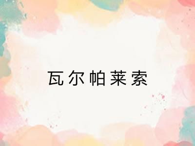 瓦尔帕莱索 瓦尔帕莱索