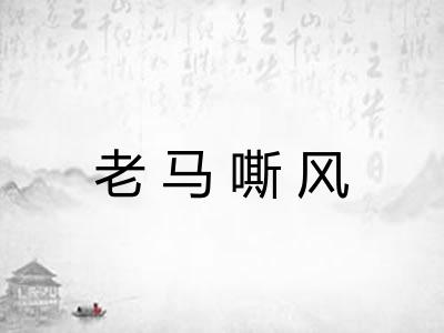 老马嘶风