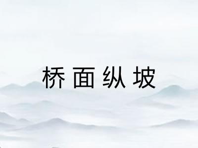 桥面纵坡 桥面纵坡