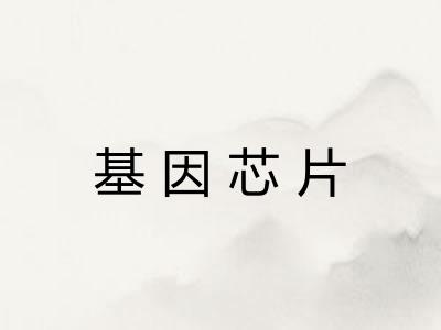 基因芯片 基因芯片