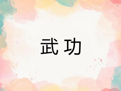 武功