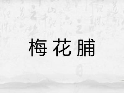 梅花脯 梅花脯