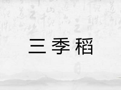 三季稻 三季稻
