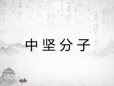 中坚分子 中坚分子