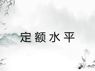 定额水平 定额水平