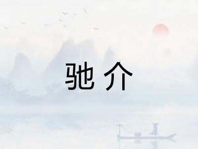 驰介