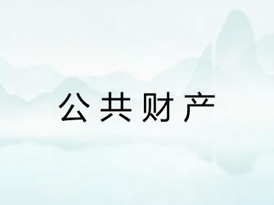 公共财产 公共财产