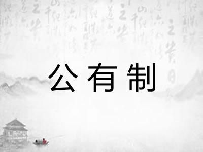 公有制 公有制