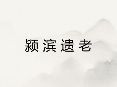 颍滨遗老 颍滨遗老