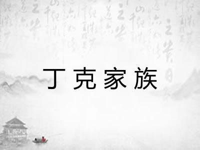 丁克家族 丁克家族