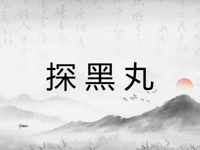 探黑丸 探黑丸
