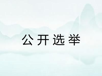 公开选举
