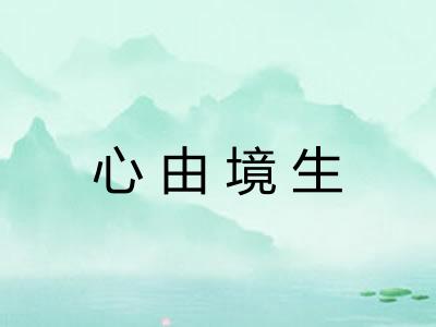 心由境生 心由境生