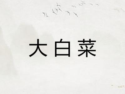 大白菜 大白菜