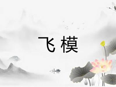 飞模