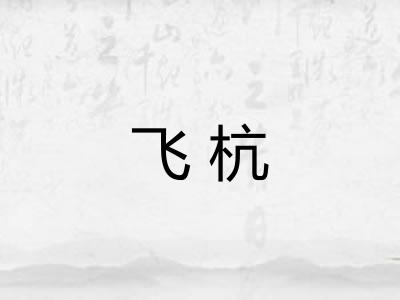 飞杭 飞杭