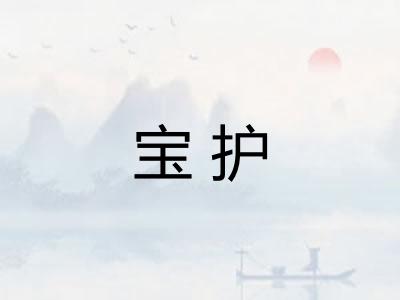 宝护 宝护