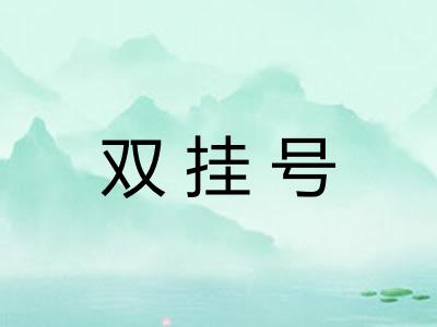 双挂号