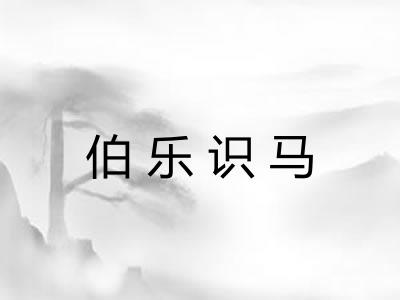 伯乐识马 伯乐识马