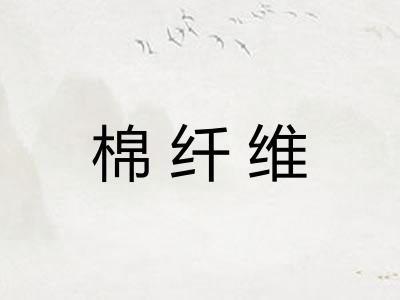 棉纤维 棉纤维