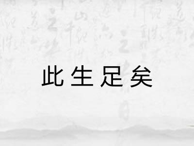 此生足矣