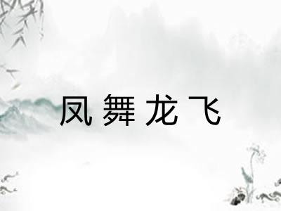 凤舞龙飞