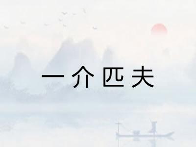 一介匹夫
