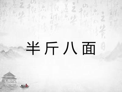 半斤八面