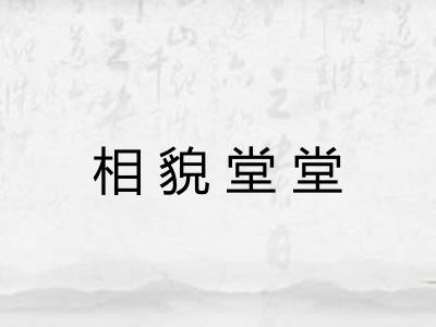 相貌堂堂 相貌堂堂