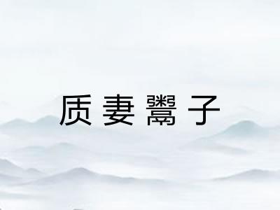 质妻鬻子 质妻鬻子