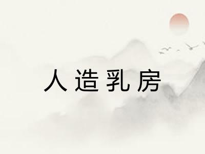 人造乳房 人造乳房