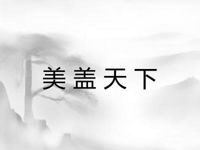 美盖天下