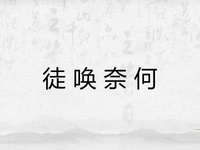 徒唤奈何 徒唤奈何
