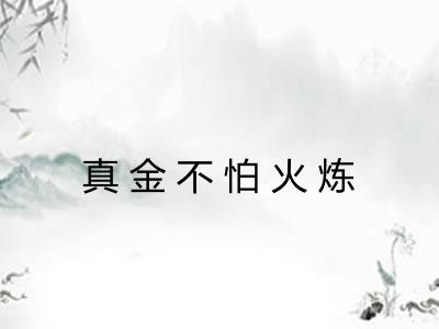 真金不怕火炼 真金不怕火炼