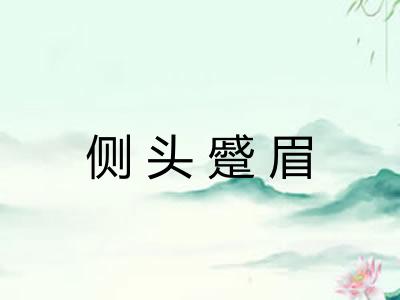 侧头蹙眉 侧头蹙眉