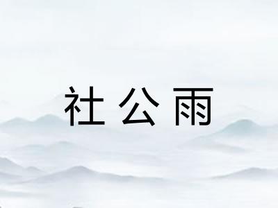 社公雨