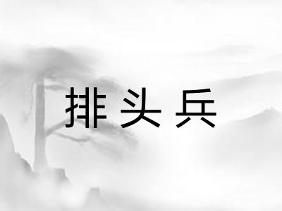 排头兵 排头兵